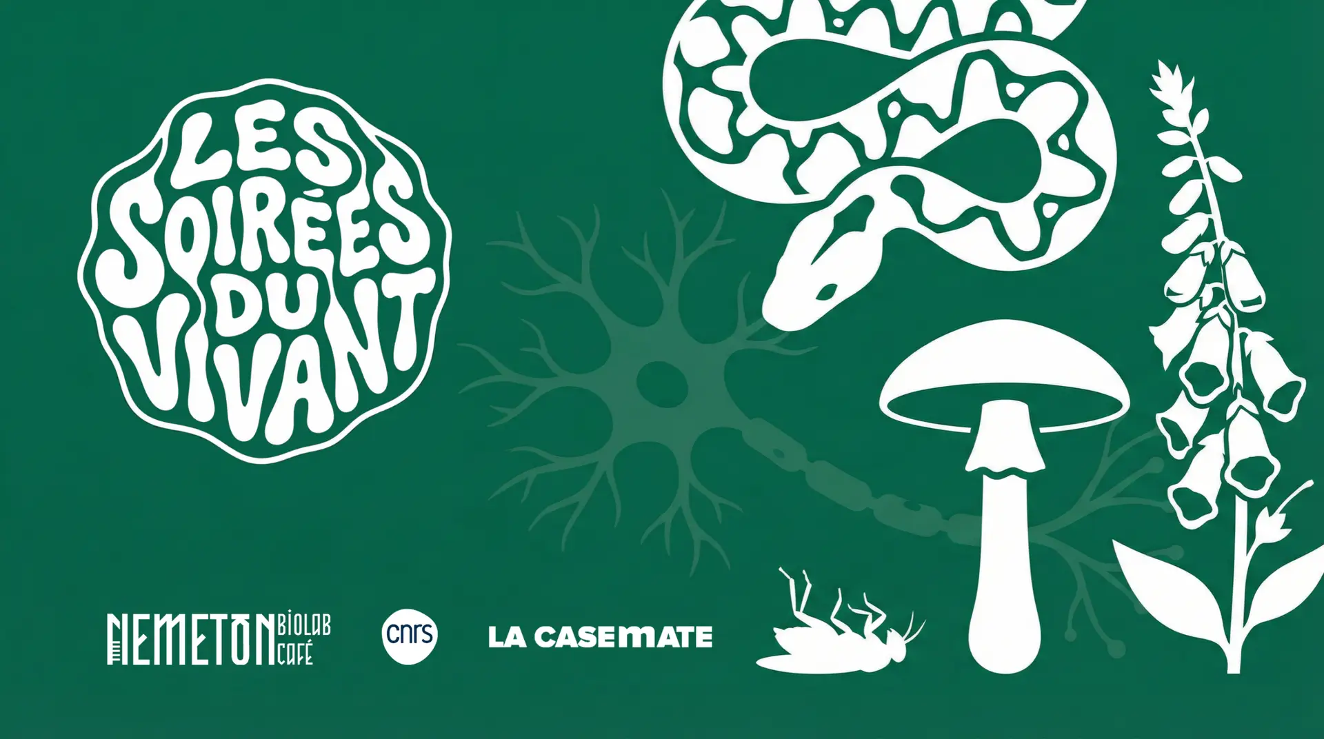 Illustration de la Soirée du Vivant « Récepteurs neuronaux : comment les poisons trouvent leur cible », à La Casemate
