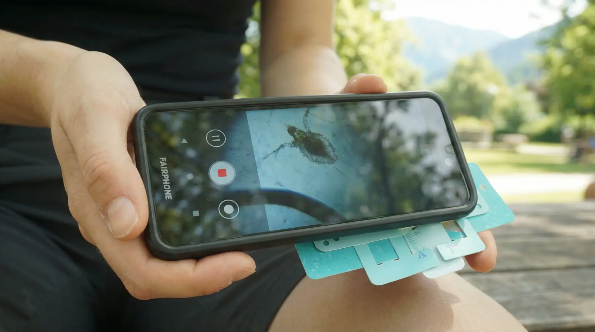 Foldscope couplé à un smartphone Fairphone pour capturer des observations microscopiques