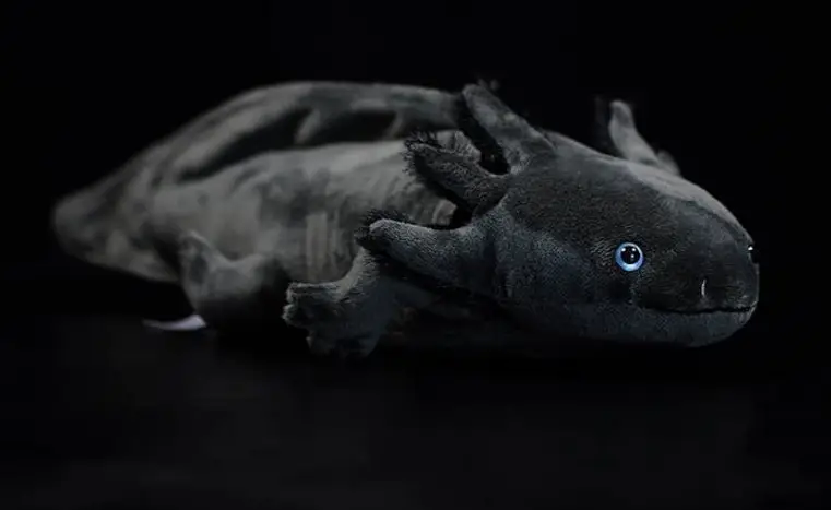 Peluche axolotl noir