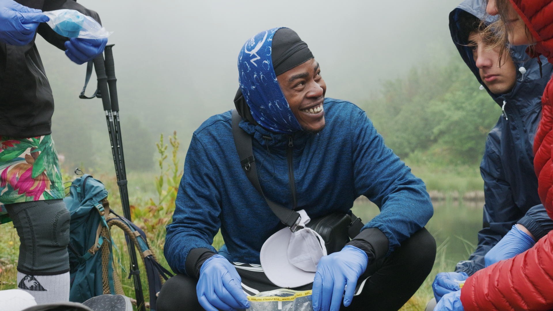 ADN environnemental — Analyse