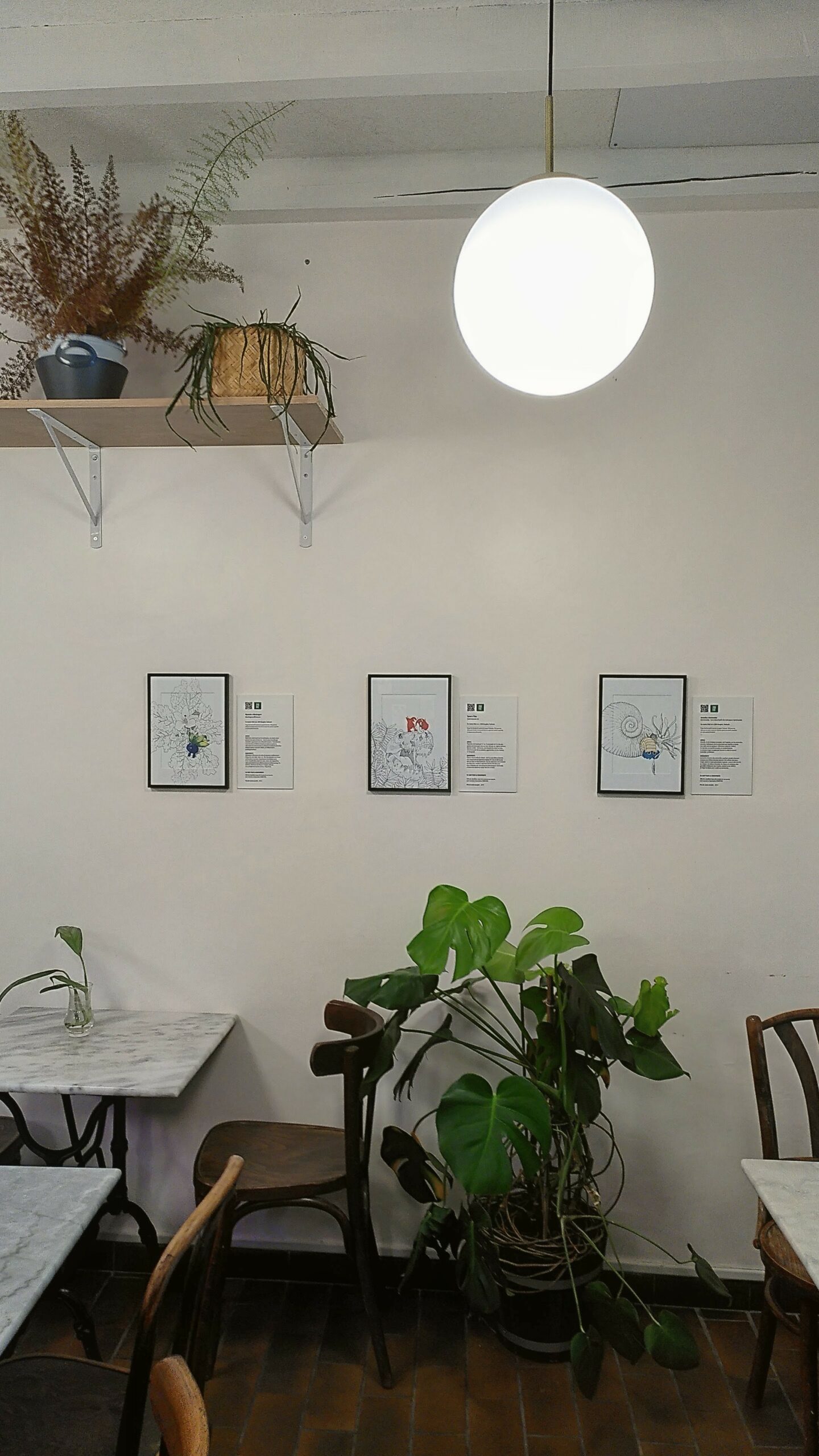 Les trois tirages de la série Pokémon et biodiversité accrochés dans la salle du Nemeton - Biolab Café, au-dessus des tables