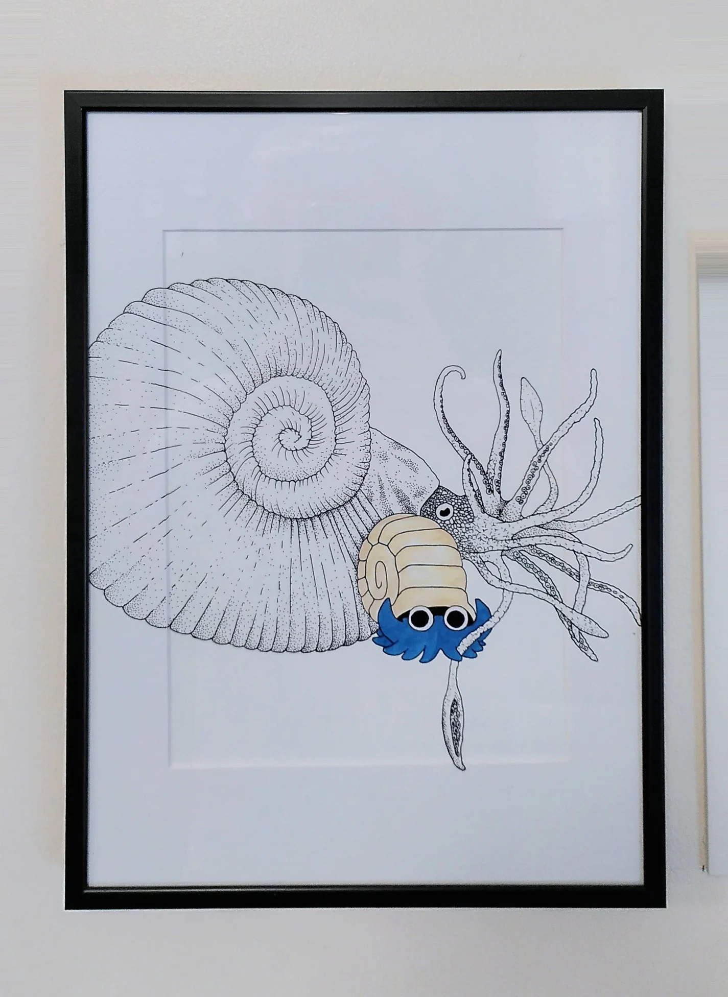 Tirage encadré Amonita et ammonites, par Estelle Cruz