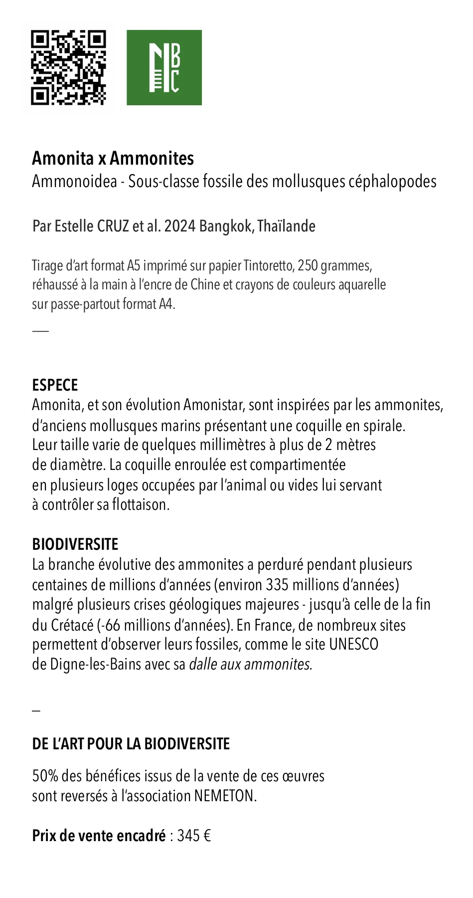 Cartel de l'oeuvre Amonita x Ammonites : espèce, biodiversité et prix