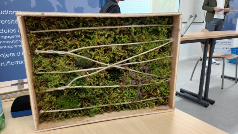 Prototype de mur de mousses&nbsp;: un cadre en bois garni de mousses tenues par des cordelettes